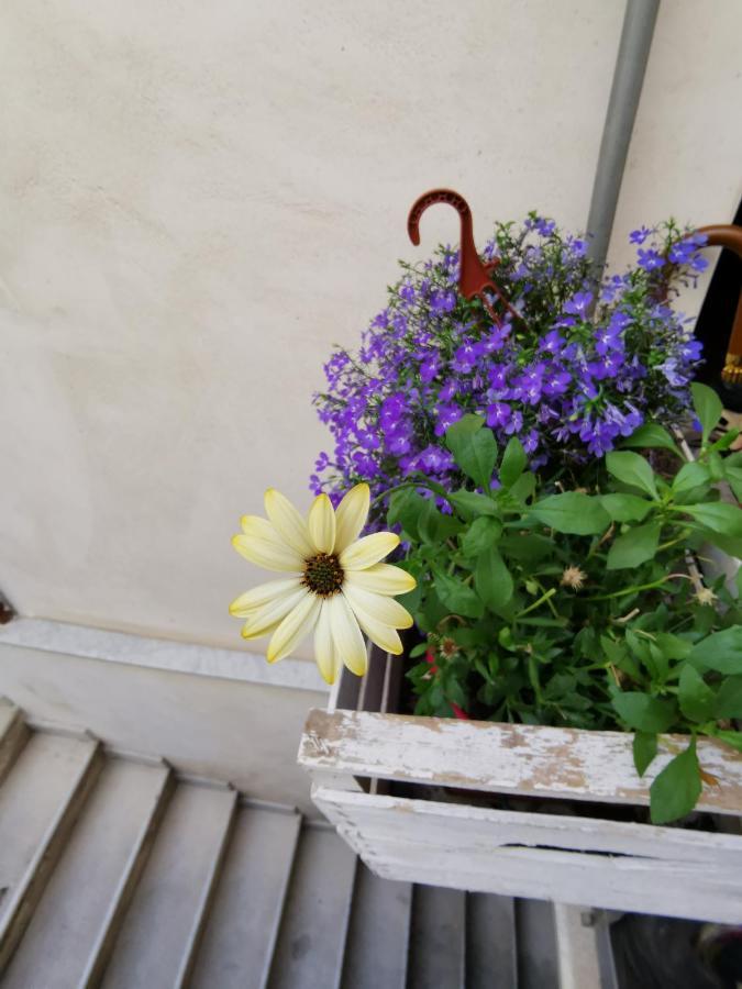 Apartmán Casuzzamia Palermo Exteriér fotografie